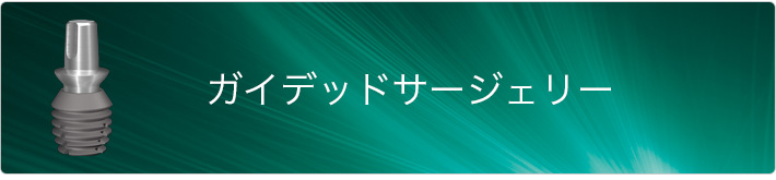 ガイデッドサージェリー